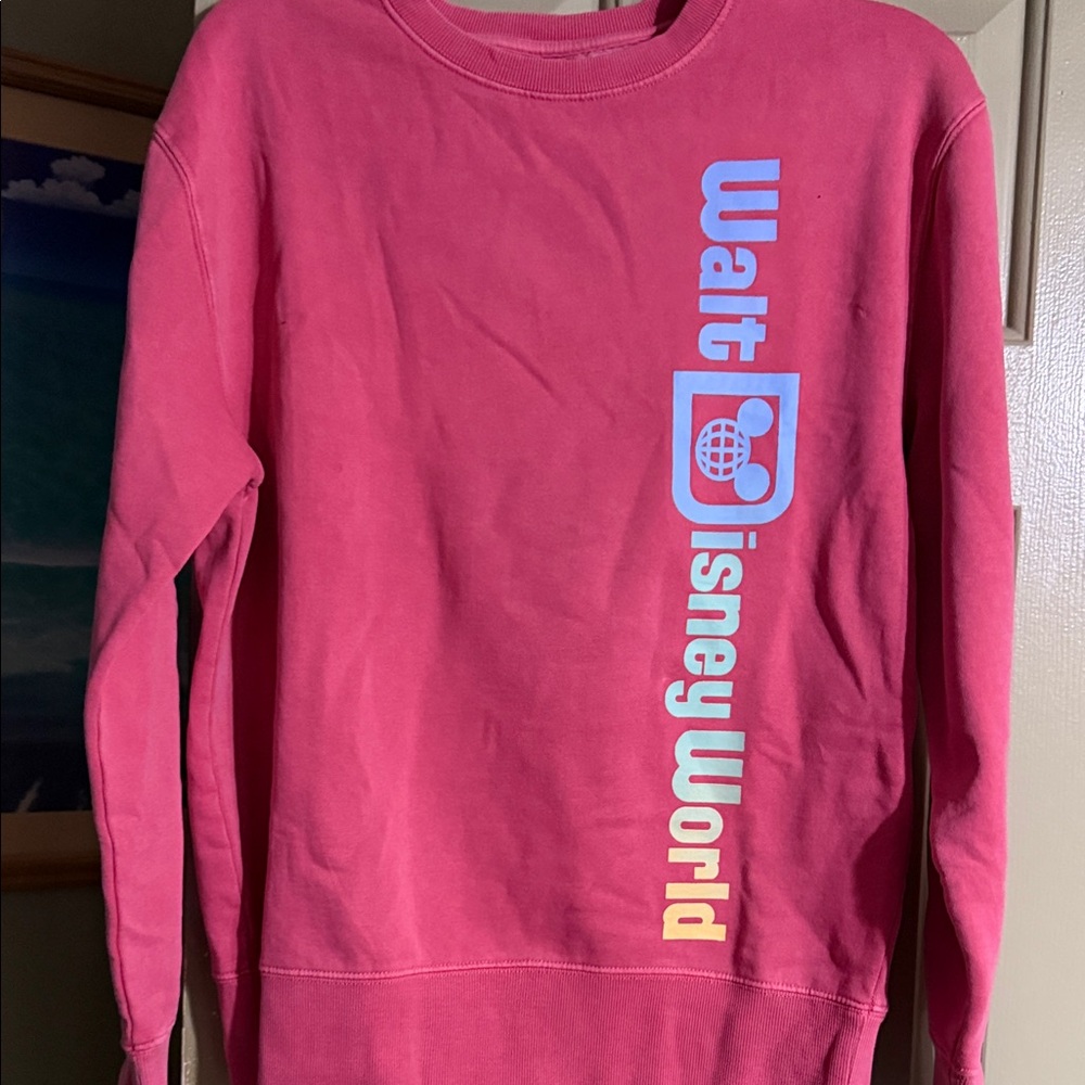 Walt Disney World Pink Cozy Sweatshirt